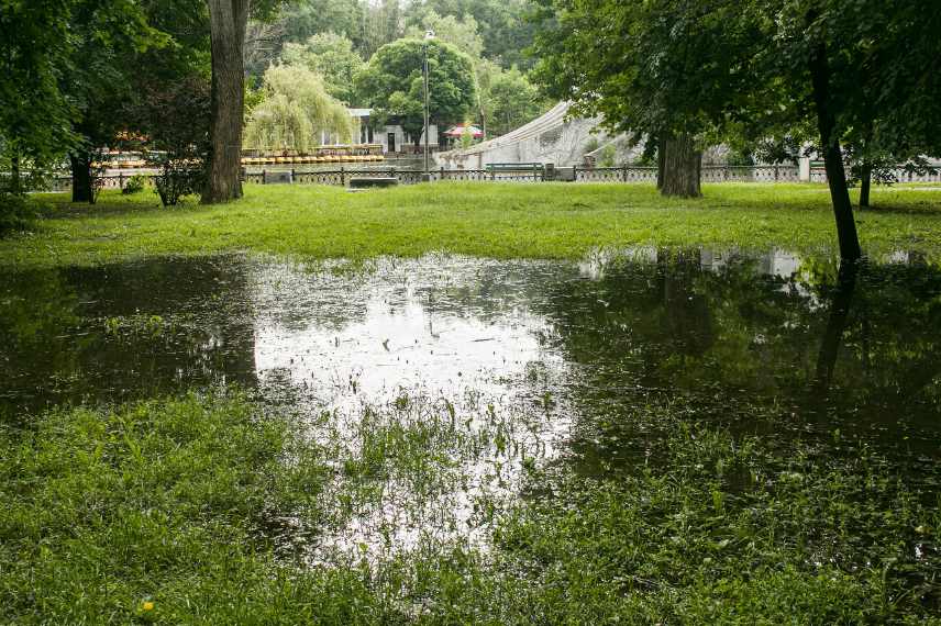 jardin inondable conseils aide