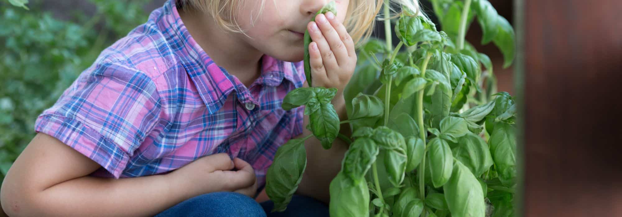 7 idées créatives pour initier les enfants au jardinage même sans jardin