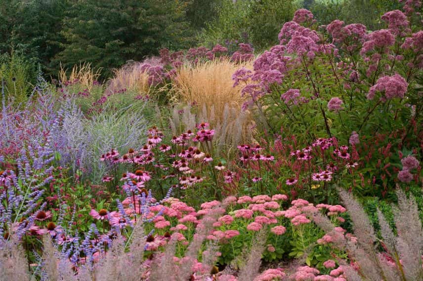 diversité au jardin