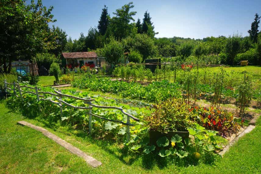 un jardin et potager biologique