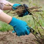 Gants, lunettes, genouillères... : on se protège au jardin !