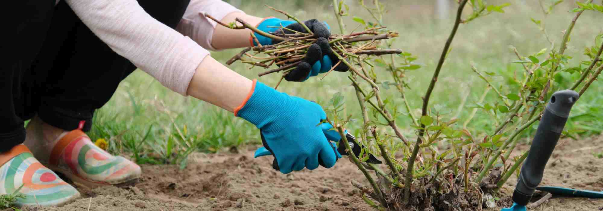 Gants, lunettes, genouillères... : on se protège au jardin !