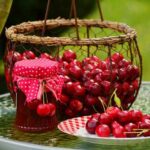 Comment récolter et conserver les cerises ?