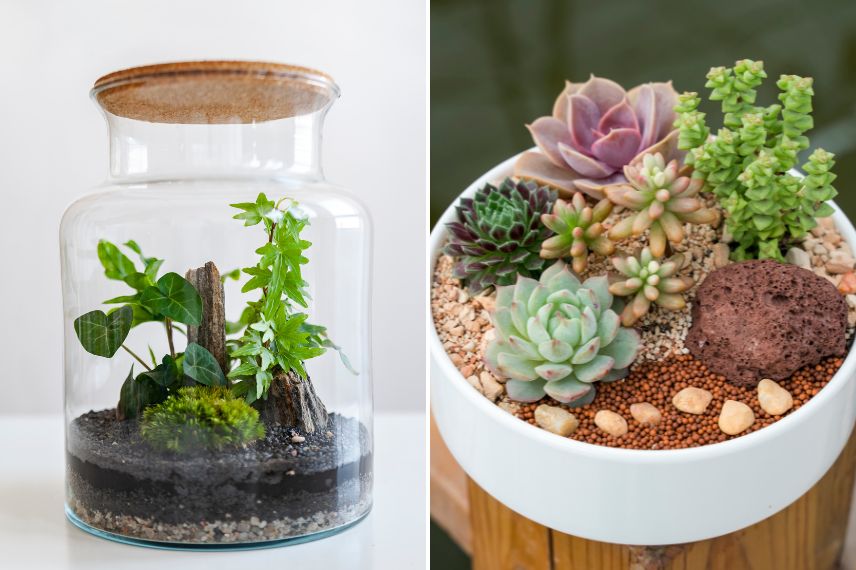 mini jardin