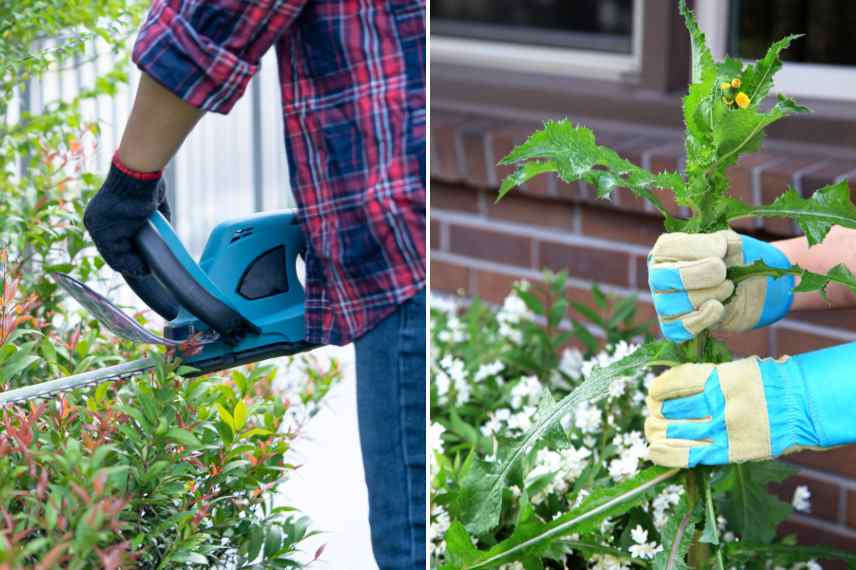 types de gants protection jardinage
