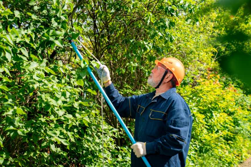 protection jardinage securite