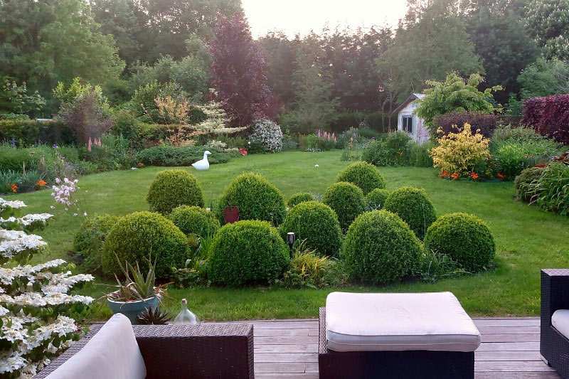 Terrasse et buis-boule, jardin Tiburon