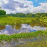 Comment vont les nappes phréatiques en France ?