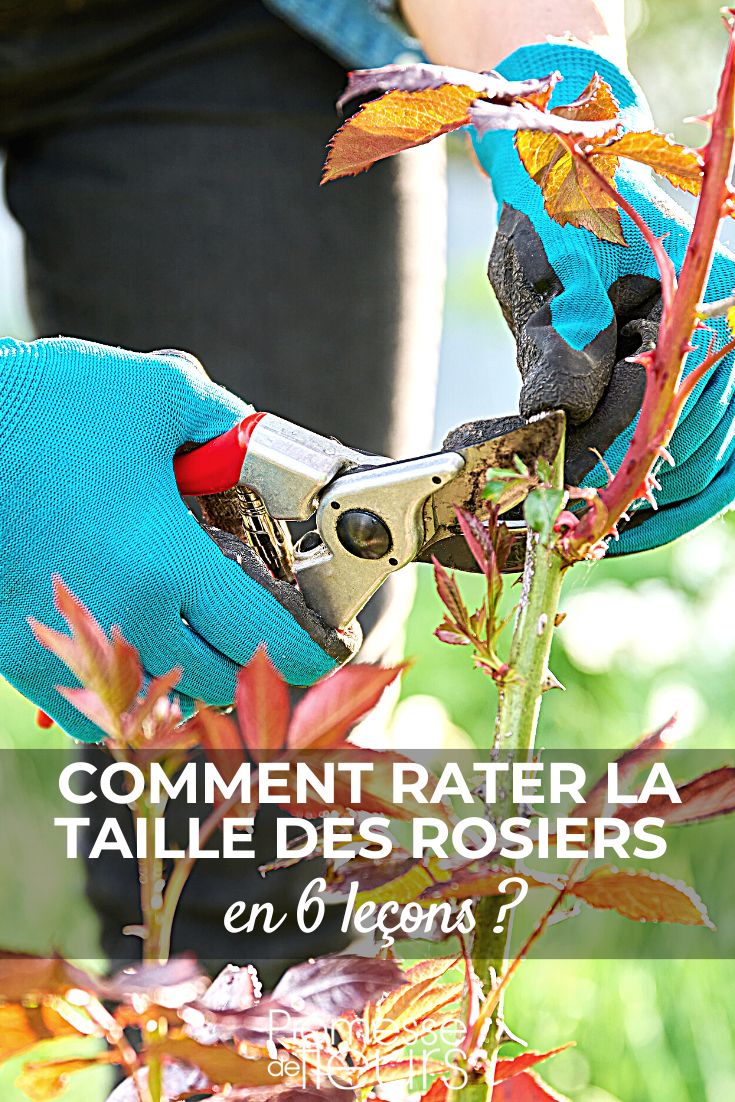 serie comment rater