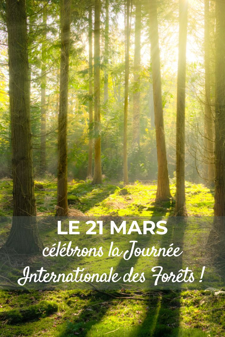 journée des forets