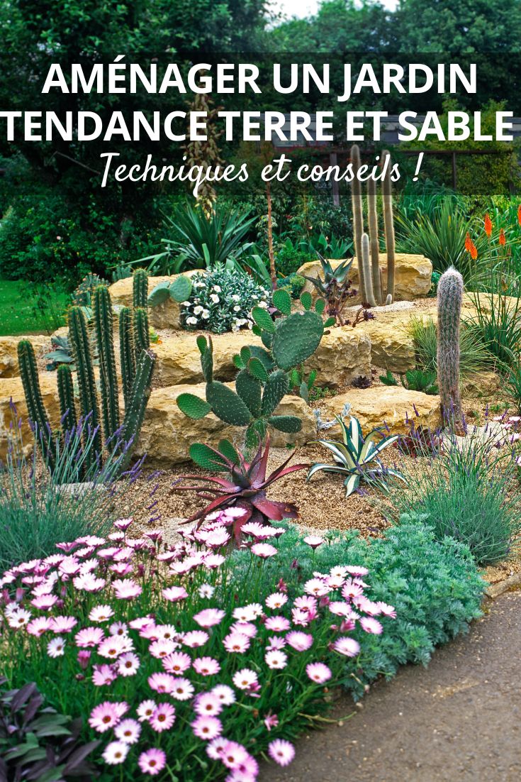 Terre et sable : la tendance jardin qui adopte les plantes du désert