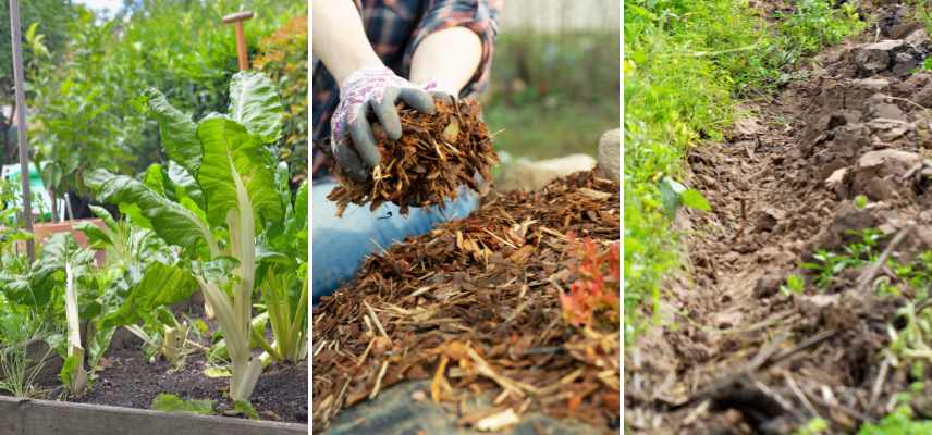 solution jardinage potager terre humide