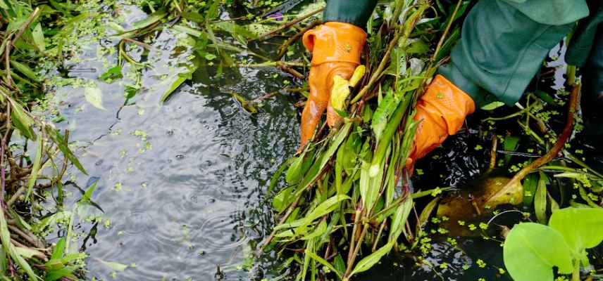 maintenance entretien d un bassin