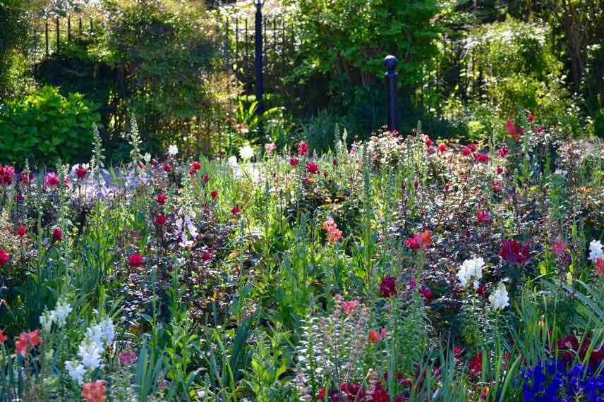 jardin de fleurs coupées