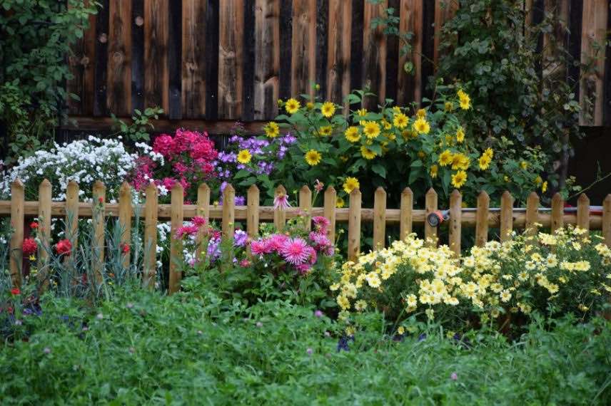 jardin de fleurs