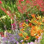 7 astuces pas chères pour un beau jardin à petit budget