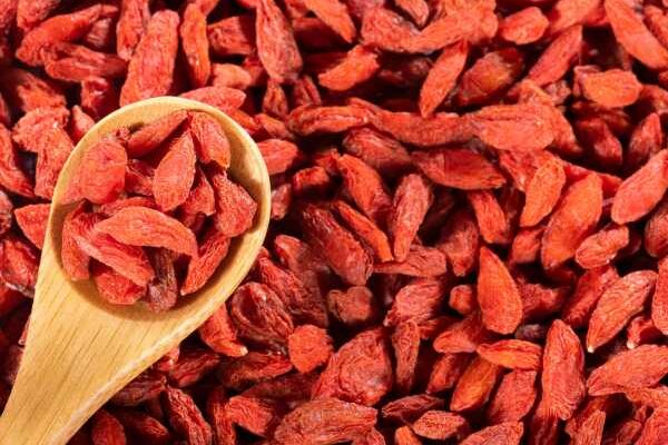 Récoltez et conservez vos baies de goji : un trésor de vitamines à portée de main