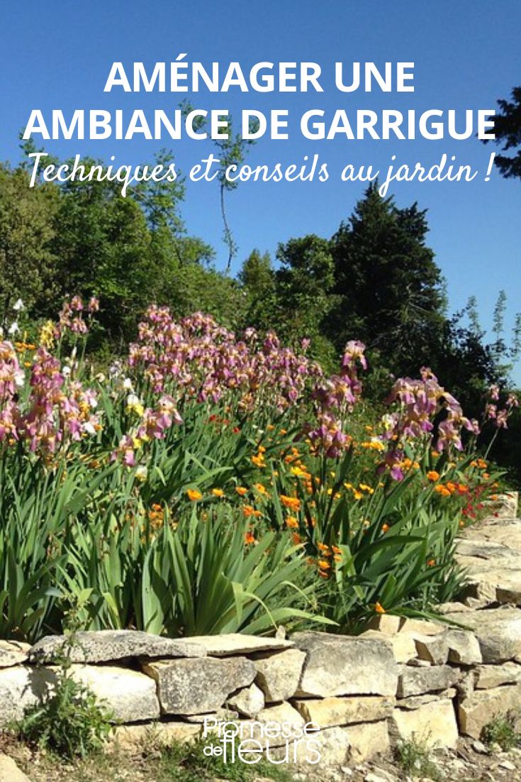 jardin ambiance méditerranéenne