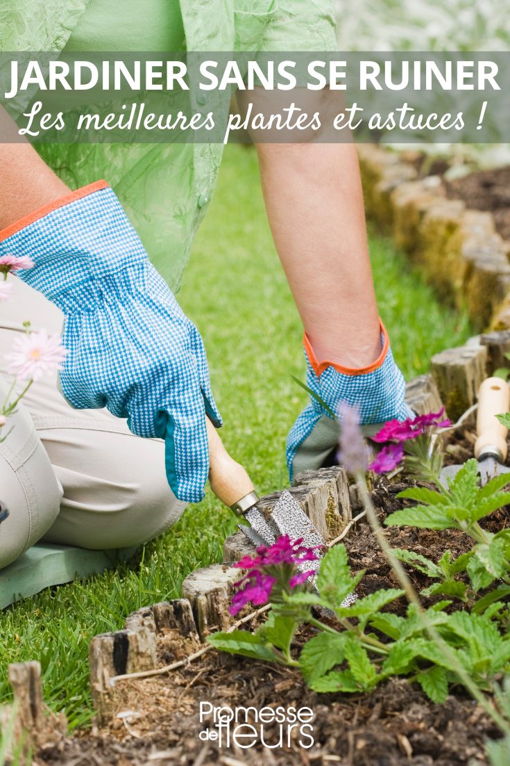 un jardin sans trop dépenser