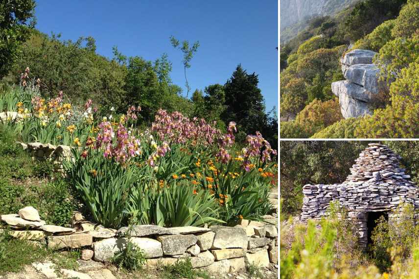 amenager jardin de garrigue