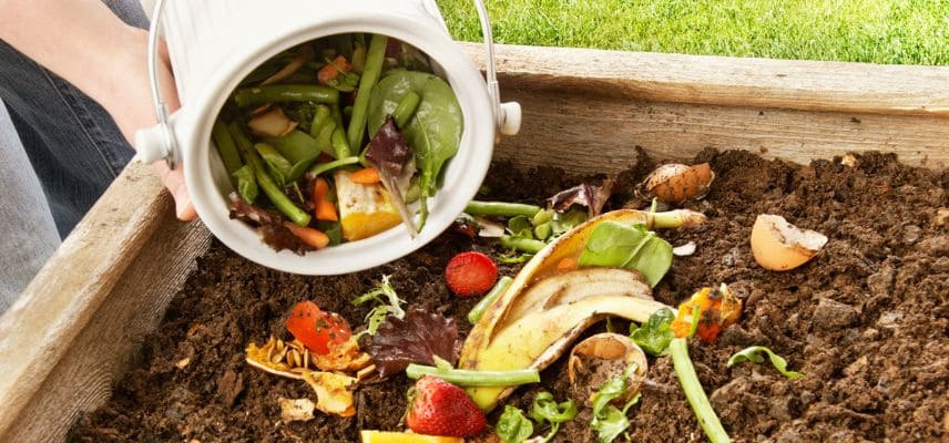 ajout de déchets de cuisine au compost