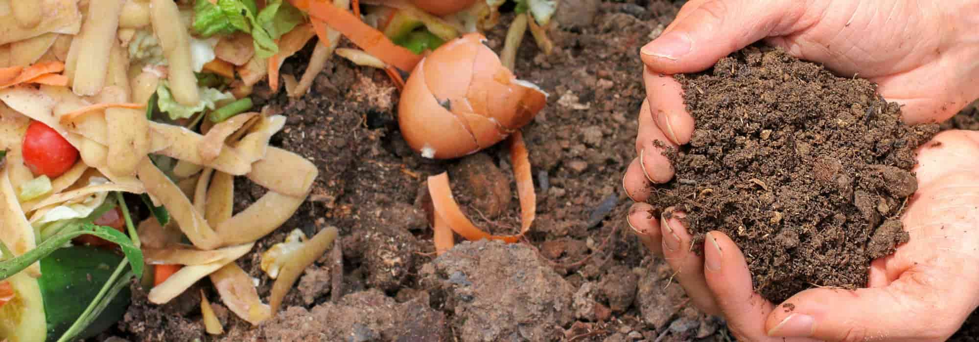 Comment accélérer la décomposition du compost ?