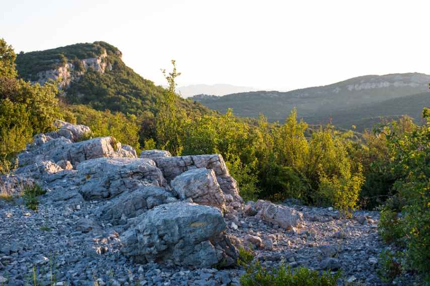 creation amenagement jardin sec de garrigue