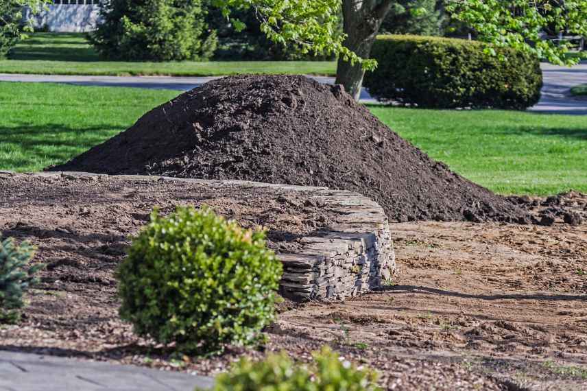 coût création d'un potager terre végétale