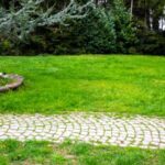 Comment aménager une allée de jardin en pavés ?