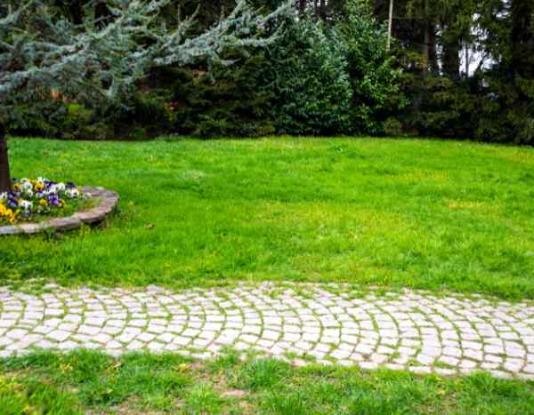 Comment aménager une allée de jardin en pavés ?