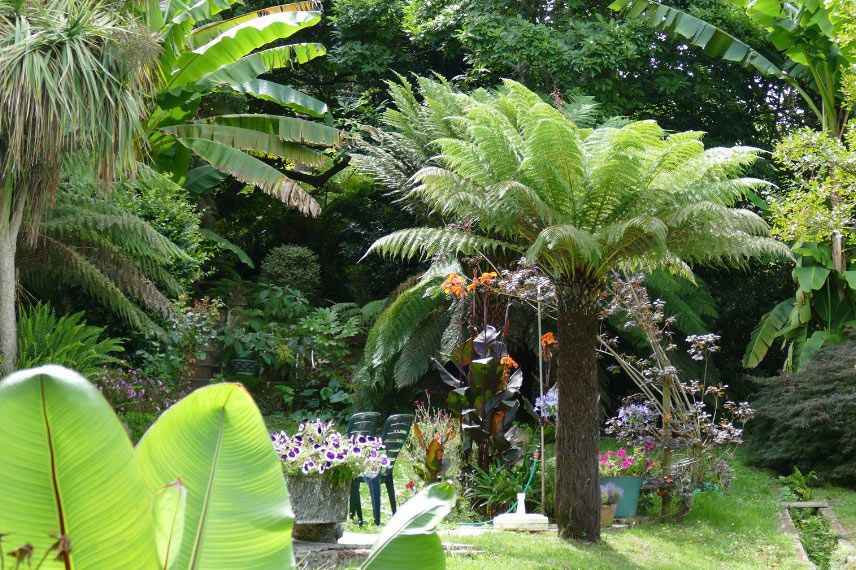 Créer une oasis végétale au jardin