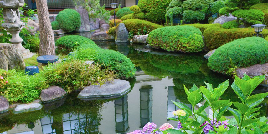 Jardin japonais