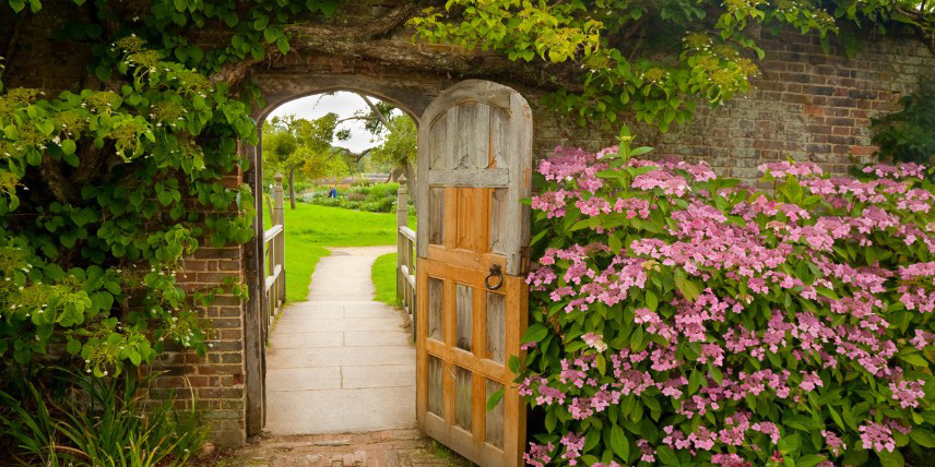 Végétalisez les murs de votre jardin clos