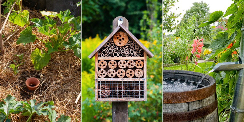 Comment aménager un jardin résilient