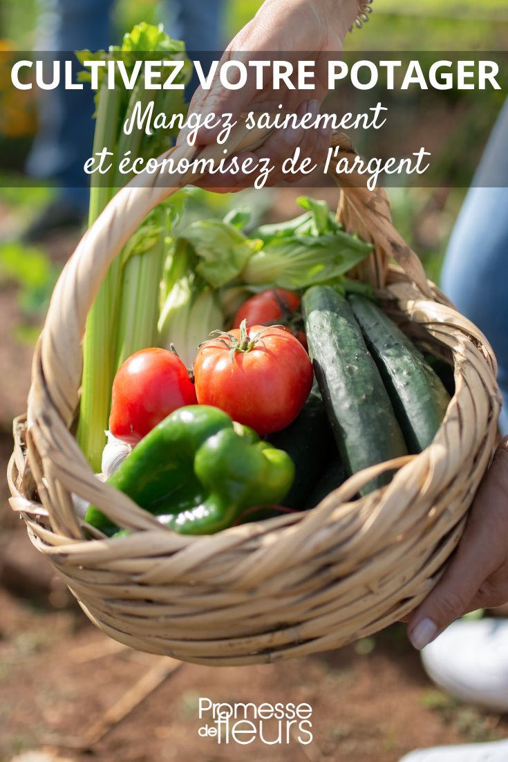 faire un potager pour économiser