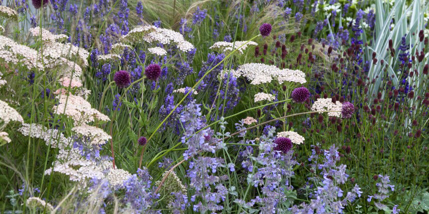 Jardin naturel et résilient