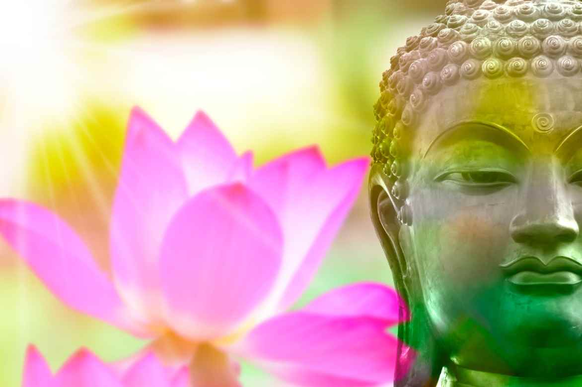 lotus et bouddhisme