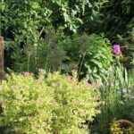 Petits jardins : comment les faire paraître plus grands ?