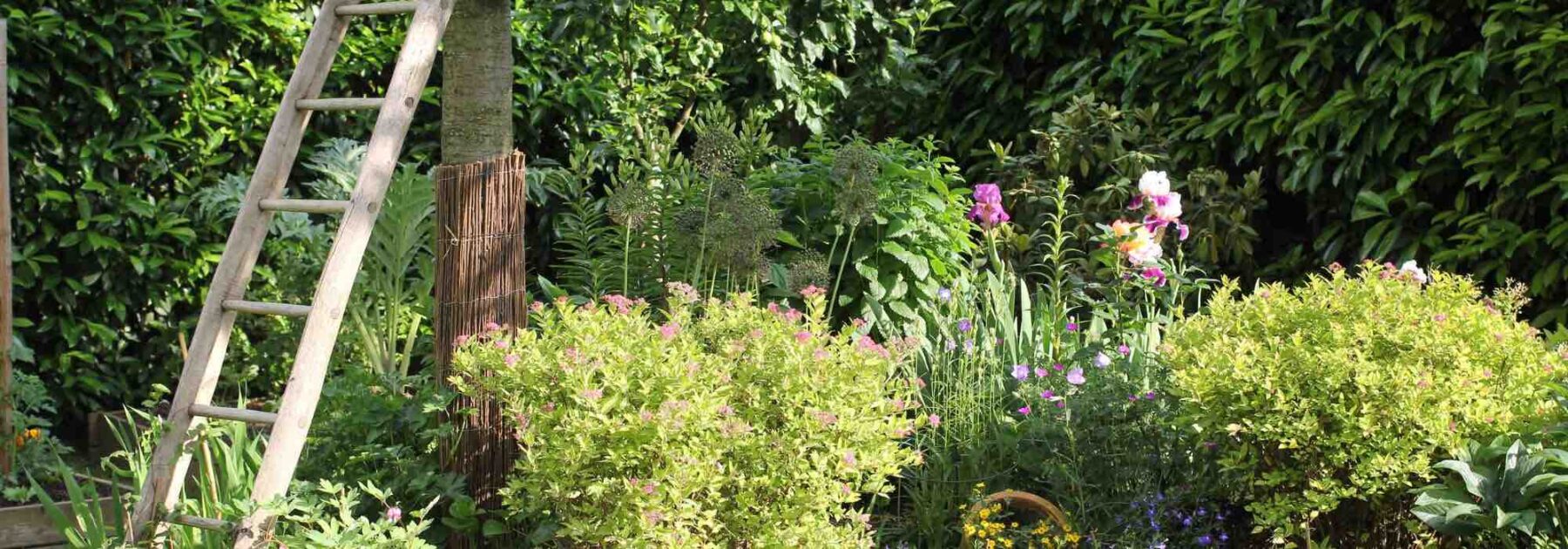 Petits jardins : comment les faire paraître plus grands ?