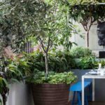 Comment bien aménager une terrasse en climat venteux ?