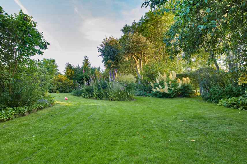 positionner arbres sur massifs