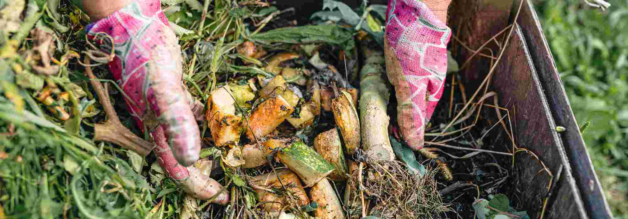 Déchets organiques : que peut-on mettre au compost ?