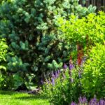 5 conseils pour aménager un jardin en climat venteux