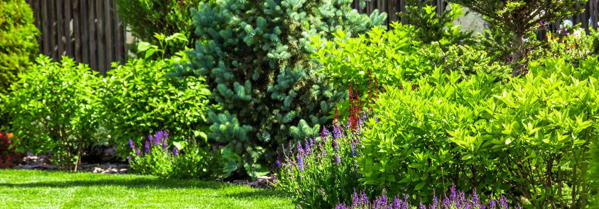 5 conseils pour aménager un jardin en climat venteux