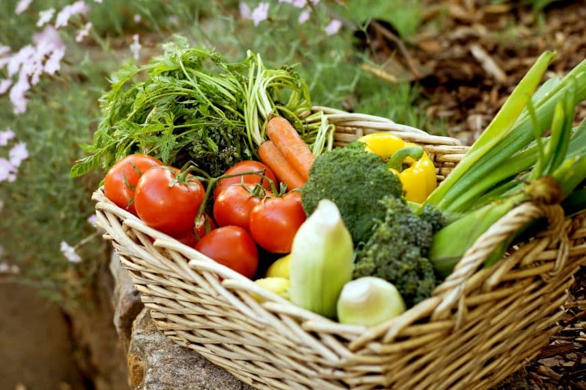 cultiver des légumes pour faire des économies