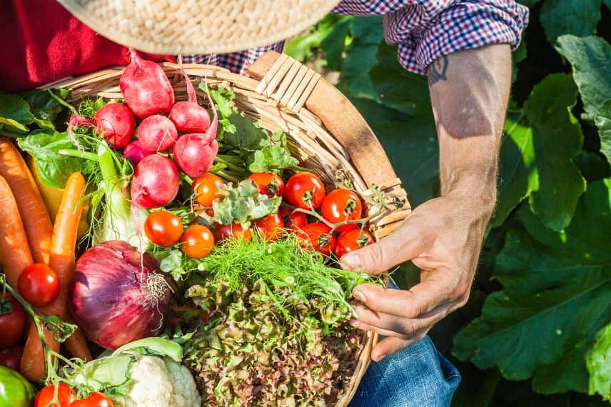 améliorer sa santé grace au potager