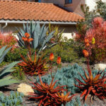 Comment aménager un jardin de style californien ?