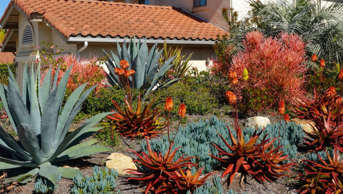 Comment aménager un jardin de style californien ?