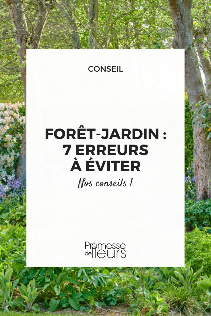 jardin foret nos conseils