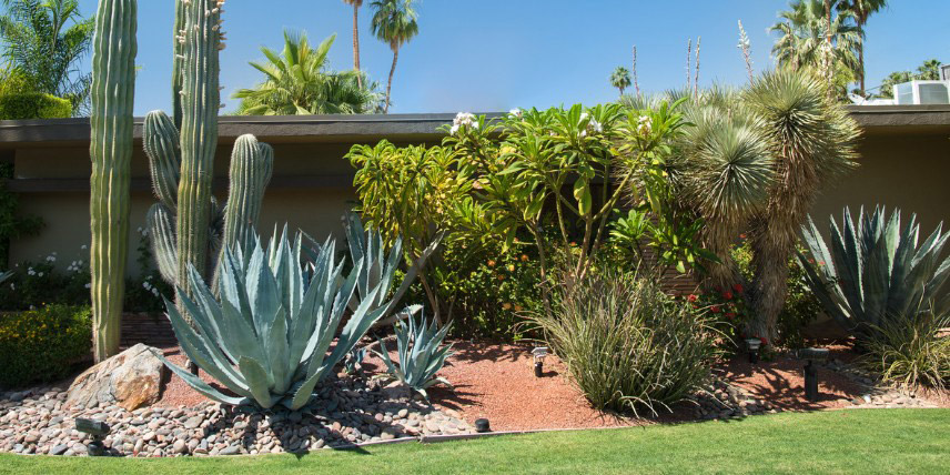 Jardin californien : agaves, cactus, yuccas... 